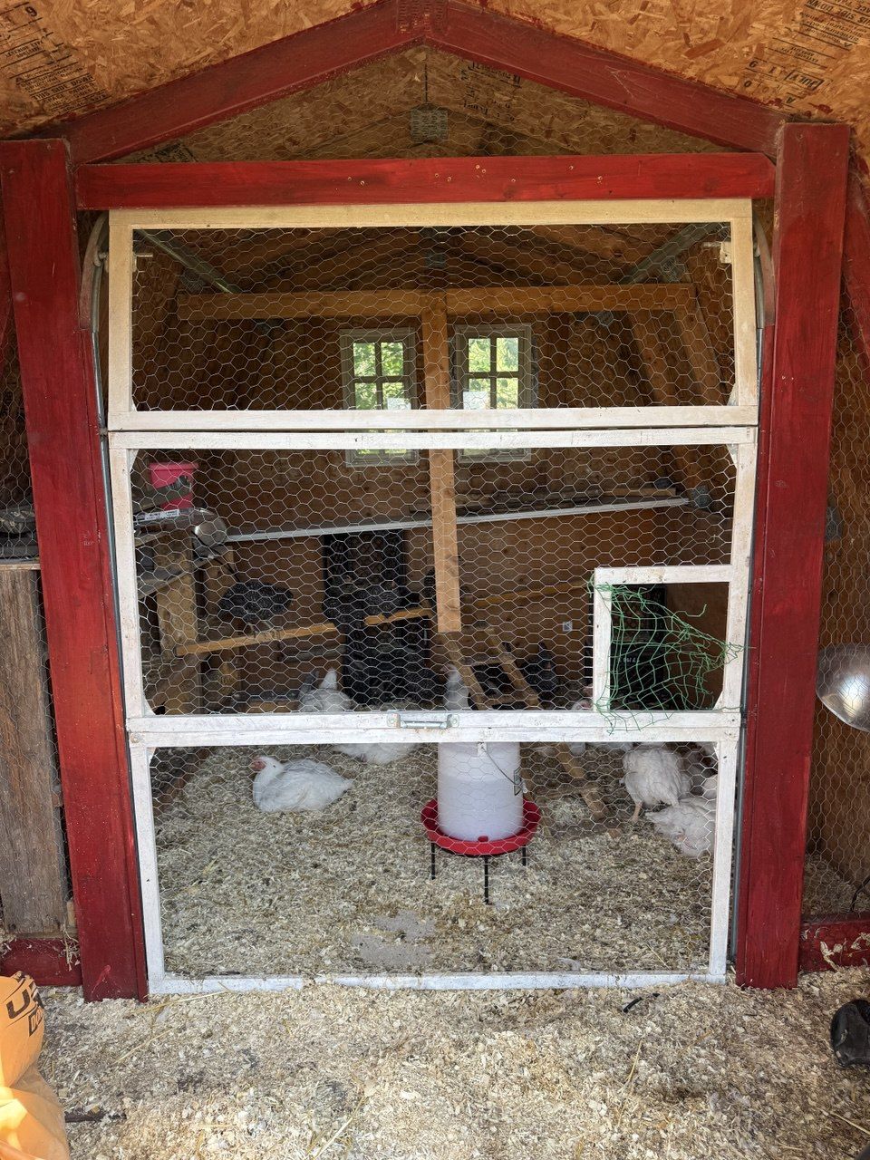 Automated Chicken Door